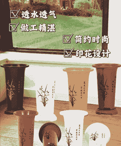 兰花要用什么花盆 兰花要用什么花盆