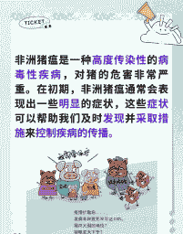 非洲猪瘟死亡多少人 非洲猪瘟死亡多少人