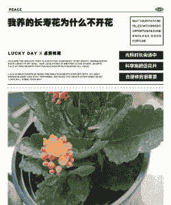 为什么我养的花不开花呢 为什么我养的花不开花呢