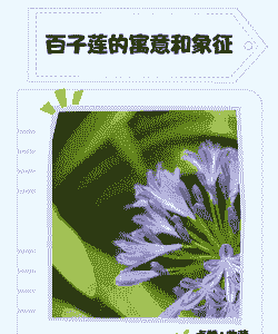 百子莲象征什么 百子莲象征什么