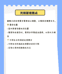 养花有什么技巧 养花有什么技巧