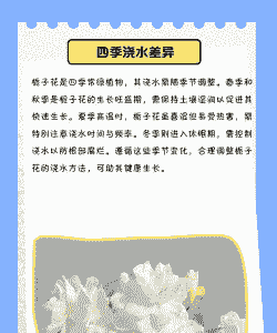 养栀子花如何浇水 养栀子花如何浇水