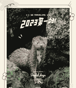 水貂是什么貂 水貂是什么貂