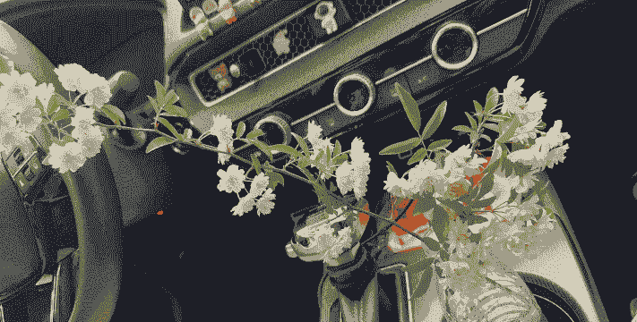 木香花几月份栽种最好 木香花几月份栽种最好