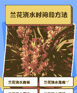 兰草怎么养花室内活动