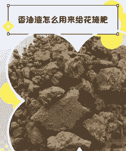 香油渣养花的技巧