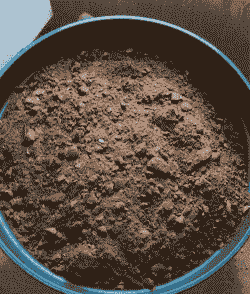 菜籽饼肥养花的比例