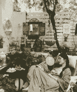 养花人市低调的