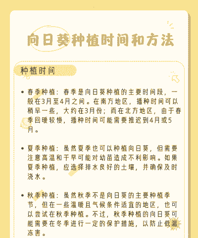 太阳花什么时候播种