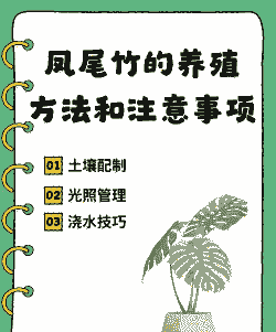 凤尾竹的养殖方法