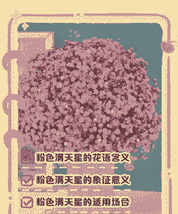 粉色满天星花语