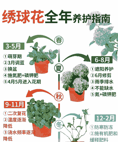 绣球花的养殖方法