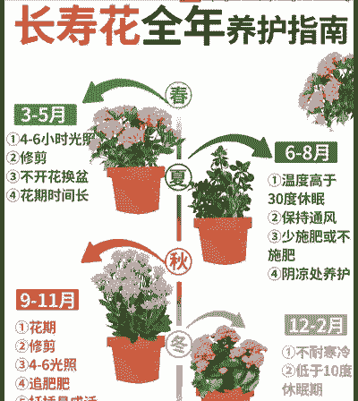 长寿花如何养殖