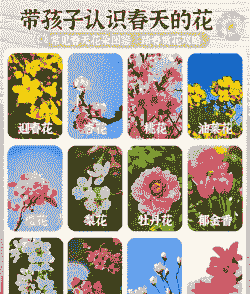 春天的花有哪些