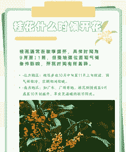 桂花什么时候开花季节