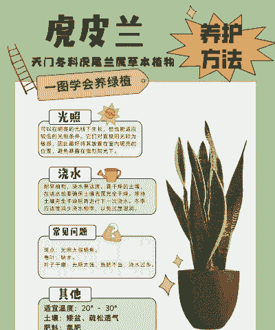 虎皮兰的养殖方法