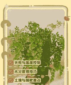 铁线蕨的养殖方法