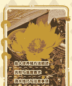 仙人球的养殖方法