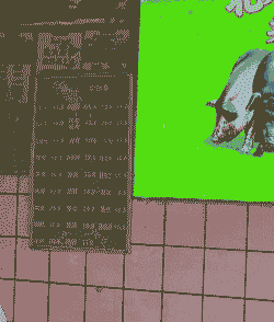 黑猪肉多少钱一斤