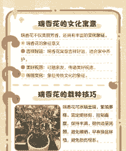 瑞香的花语是什么