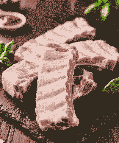 猪有多少根排骨