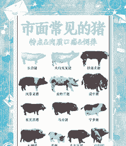 中国地方猪种有哪些优良的种质特性
