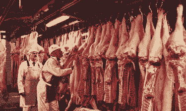 为什么进口的猪肉