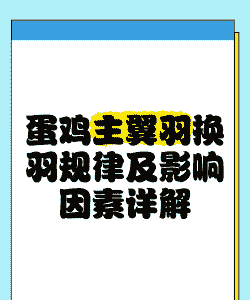 鸡为什么换羽