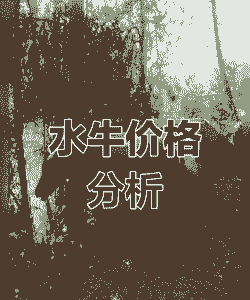 水牛多少钱一头