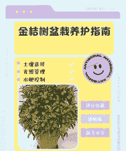 盆栽橘子树怎么种植方法