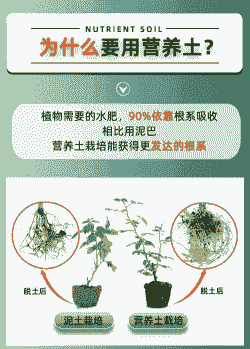 怎么增加花土的肥力