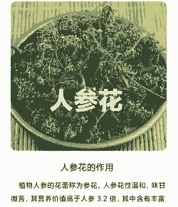 参花贰叶怎么了