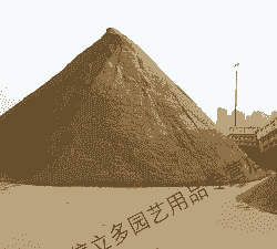 河沙怎么筛养花