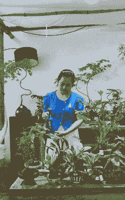 喜欢养花儿的人