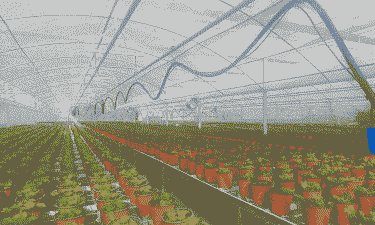 大棚养花自动降温