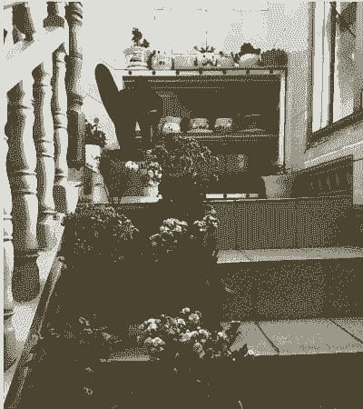 室内楼层栏杆养花