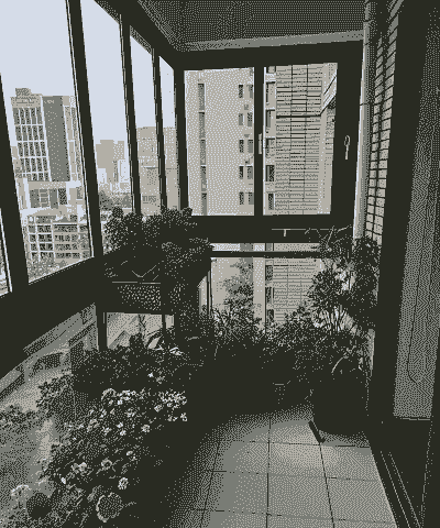 窗台养花美感怎么形容