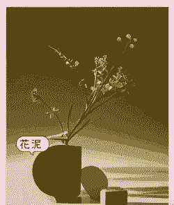 养花用什么土插花