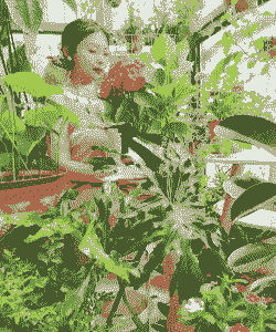 养花人最近的状态