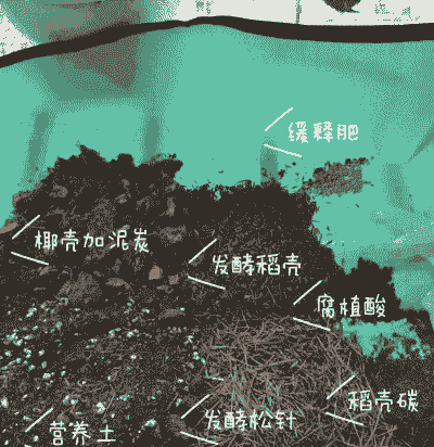 木炭养花用什么方法