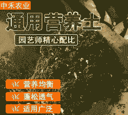 育秧基质能养花吗