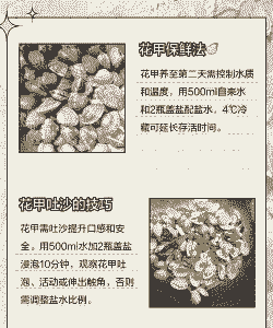 人养花甲怎么养