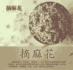 麻子渣能养花吗