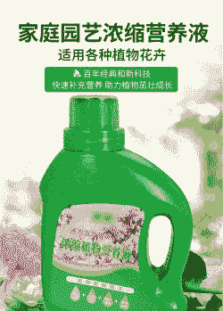 家养花常用肥料 家养花常用肥料
