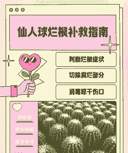 仙人球地下烂了怎么办