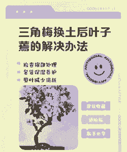 脱土后掉叶子是怎么回事