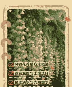 风铃教你养花
