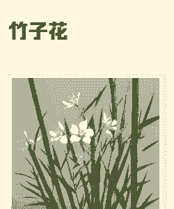 竹子周围喜欢长什么花