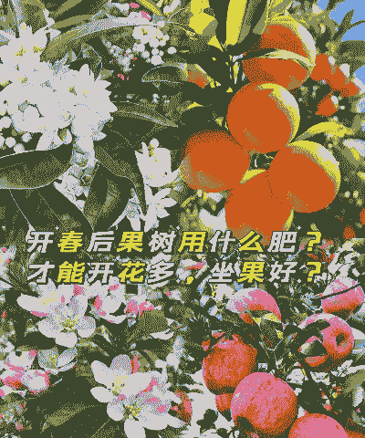 花果施肥用什么肥料 花果施肥用什么肥料