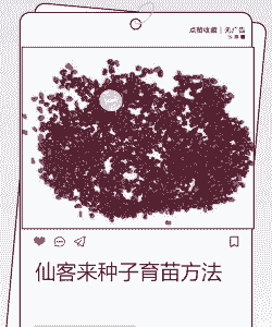 仙人掌种子怎么种植